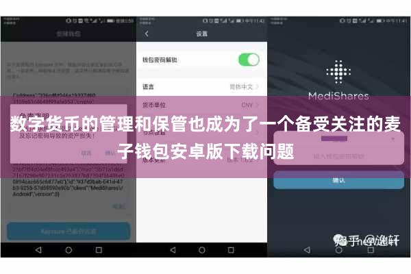 数字货币的管理和保管也成为了一个备受关注的麦子钱包安卓版下载问题