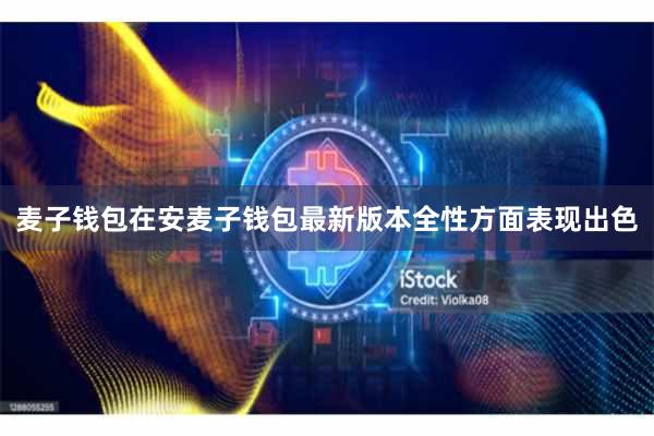 麦子钱包在安麦子钱包最新版本全性方面表现出色
