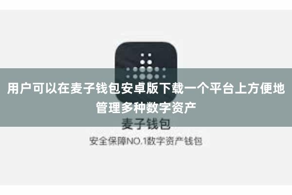 用户可以在麦子钱包安卓版下载一个平台上方便地管理多种数字资产